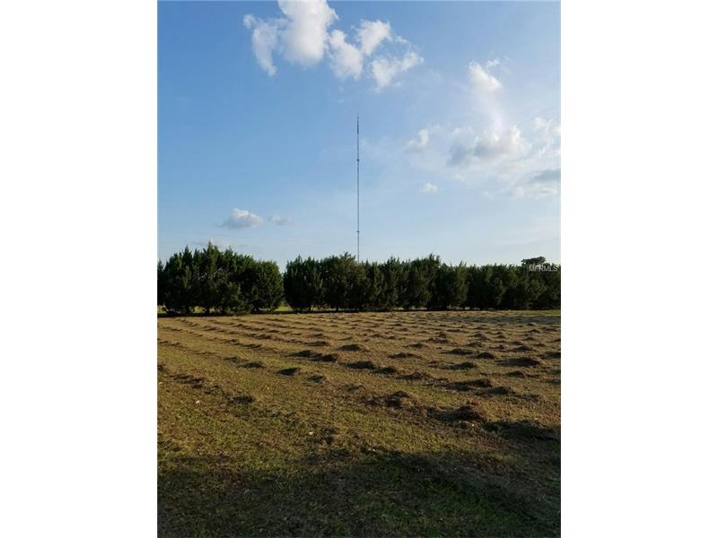 21765 JACKSON ROAD, Christmas, FL 32709