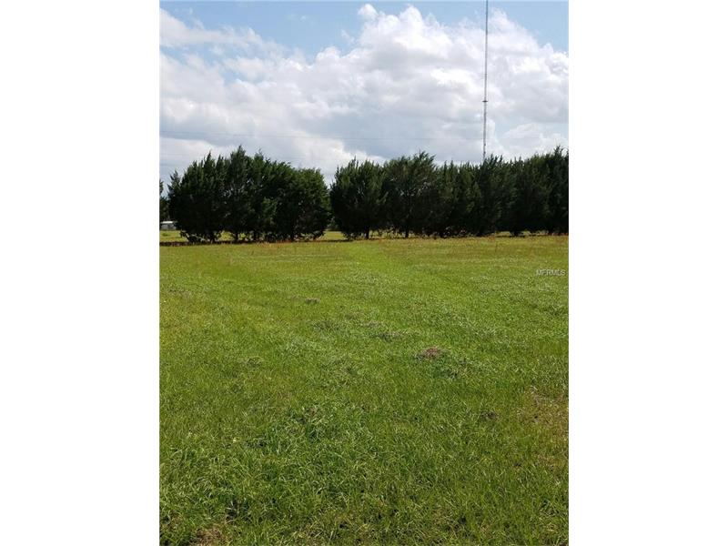 21765 JACKSON ROAD, Christmas, FL 32709