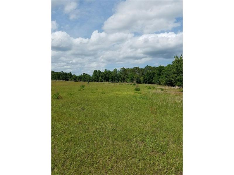 21765 JACKSON ROAD, Christmas, FL 32709