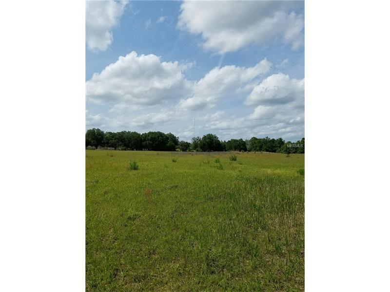 21765 JACKSON ROAD, Christmas, FL 32709