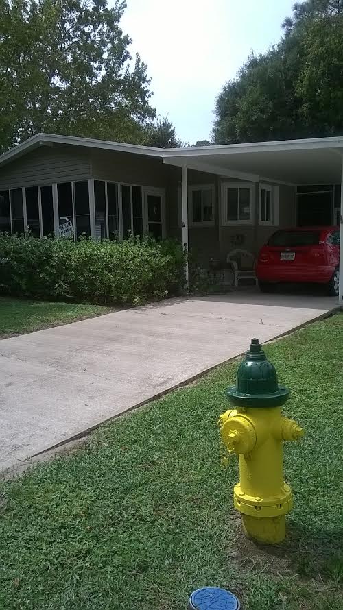 King's Lake847 Regalwood LaneDebary, FL 32713