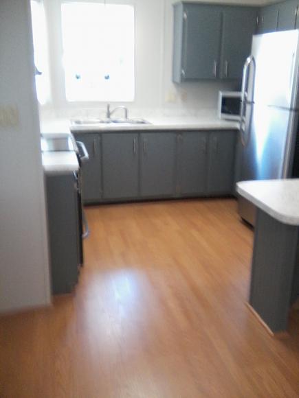 King's Lake347 Kings Lake DrDebary, FL 32713