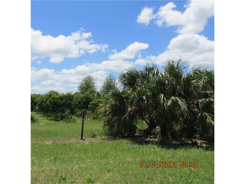 VIOLETWOOD ROAD, Deland, FL 32720