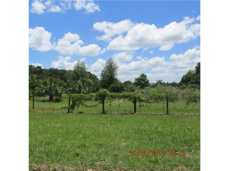 VIOLETWOOD ROAD, Deland, FL 32720