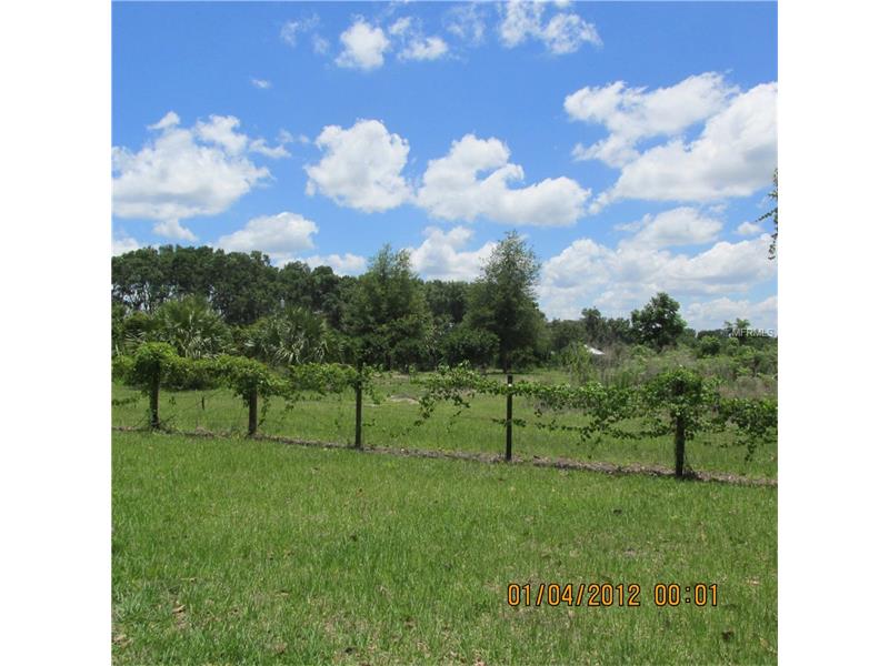 VIOLETWOOD ROAD, Deland, FL 32720