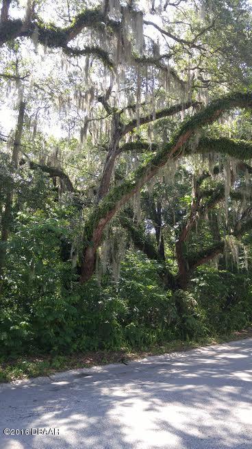 Lot 13&amp;15 S Delaware Avenue, DeLand, FL 32720