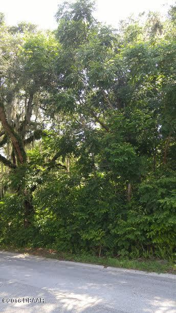 Lot 13&15 S Delaware Avenue, DeLand, FL 32720