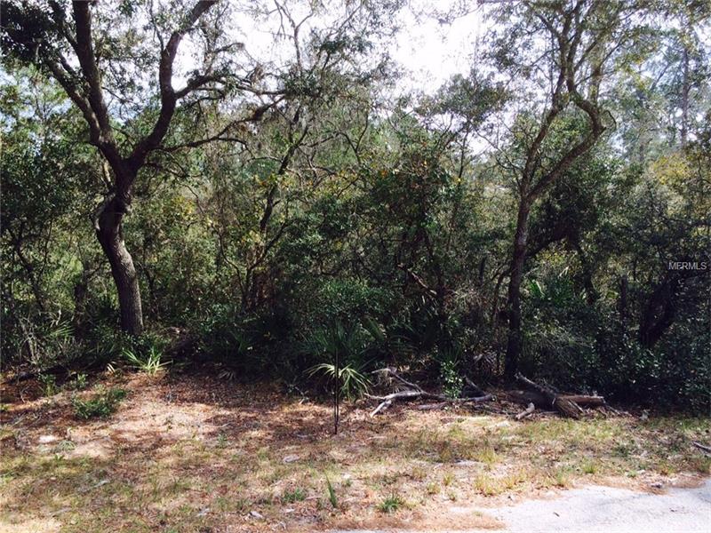 0000 ALMOND TREE LANE, Deland, FL 32720