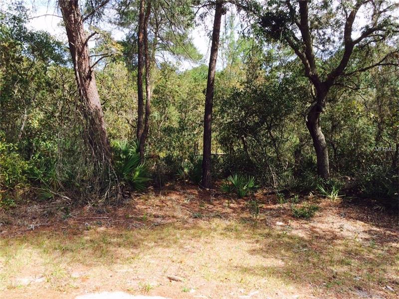 0000 ALMOND TREE LANE, Deland, FL 32720
