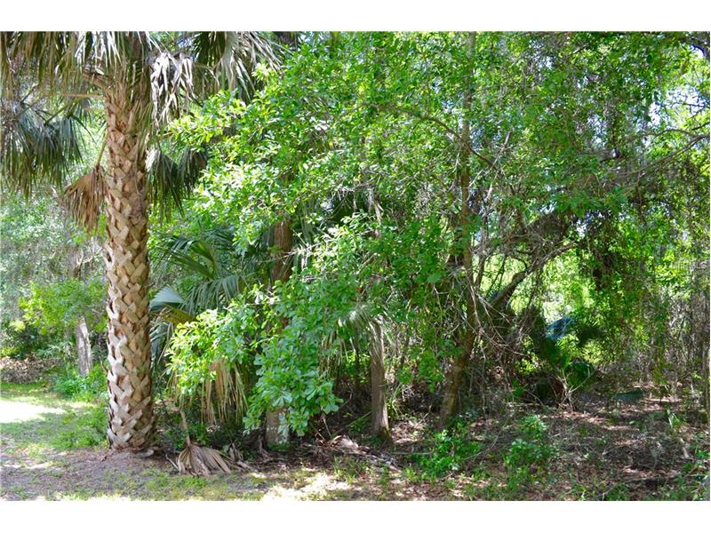 2789 RED WING VILLAGE, Deland, FL 32720