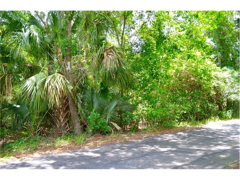 2781 RED WING VILLAGE, Deland, FL 32720