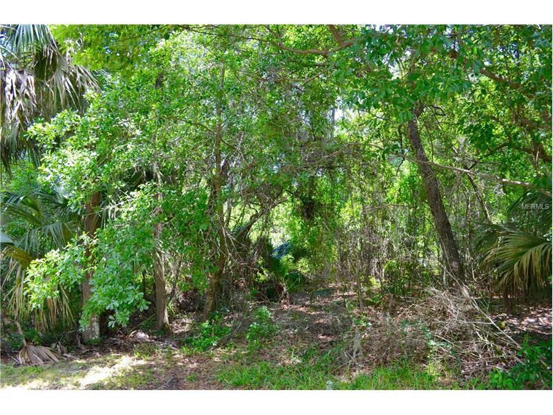 2781 RED WING VILLAGE, Deland, FL 32720