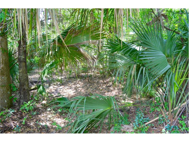 2781 RED WING VILLAGE, Deland, FL 32720