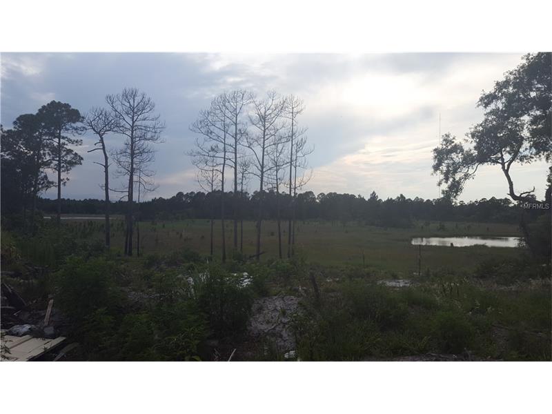 42921 JEWELL DRIVE, Deland, FL 32720