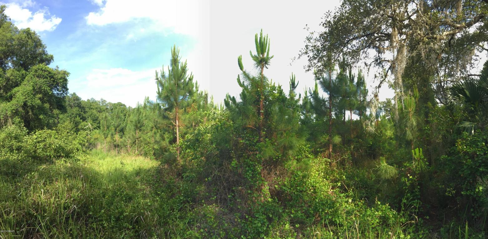 0 Seabiscuit Trail, DeLand, FL 32720