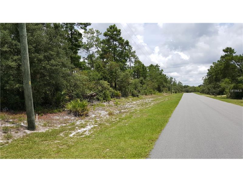 NATCHEZ STREET, Deland, FL 32720