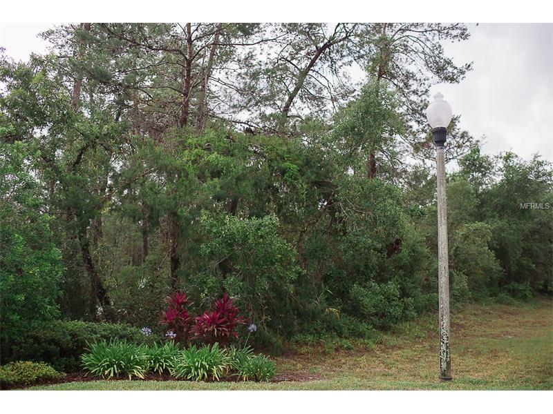 WINNEMISSETT OAKS DRIVE, Deland, FL 32724