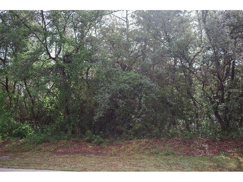 WINNEMISSETT OAKS DRIVE, Deland, FL 32724
