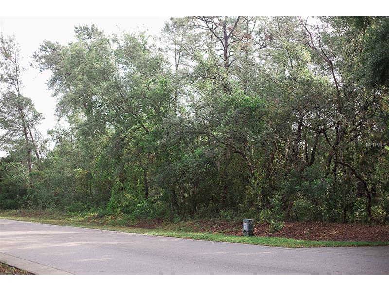 WINNEMISSETT OAKS DRIVE, Deland, FL 32724