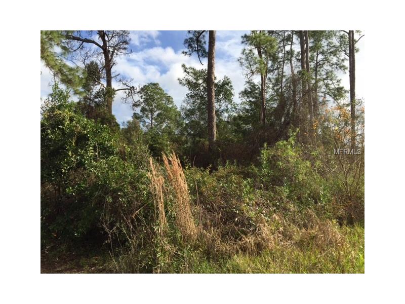 5TH AVENUE, Deland, FL 32724