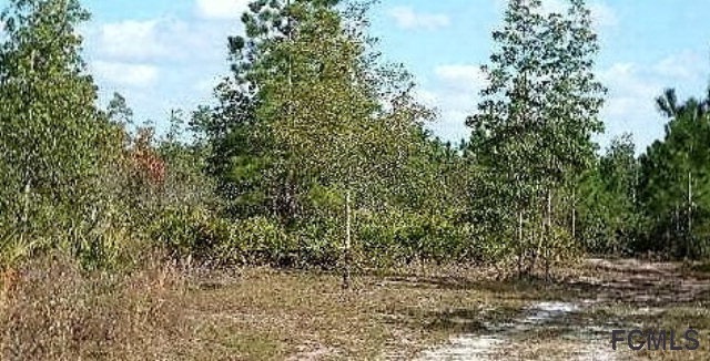 0 No Address Assigned, Deland, FL 32724
