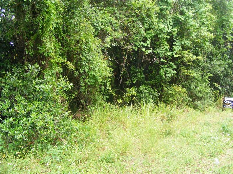 0 PALMETTO STREET, Eustis, FL 32726