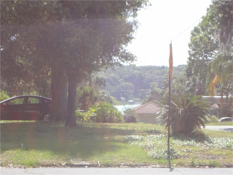 1640 Hamilton Street, Eustis, FL 32726