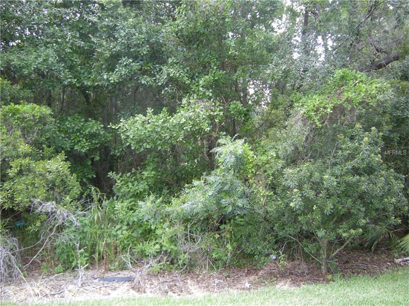 WACCASSA TRAIL, Geneva, FL 32732