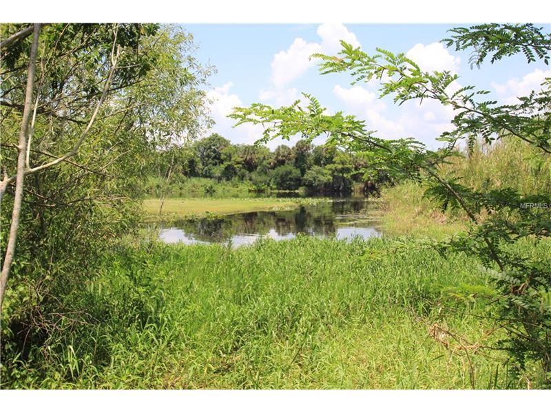 SHAD LANE, Geneva, FL 32732