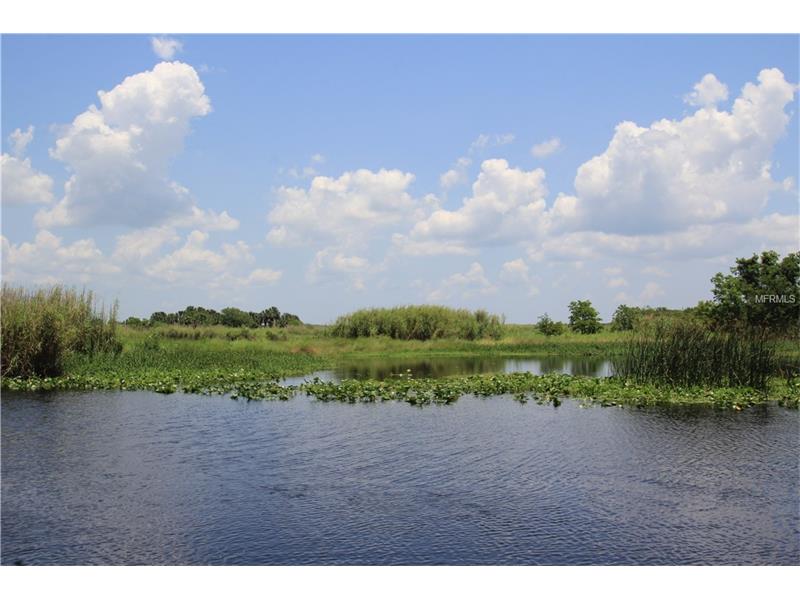 SHAD LANE, Geneva, FL 32732