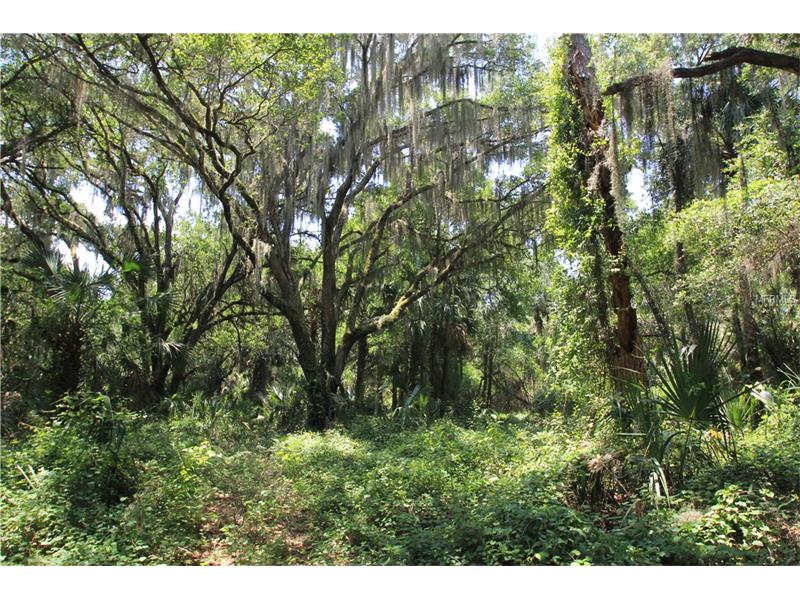 SHAD LANE, Geneva, FL 32732
