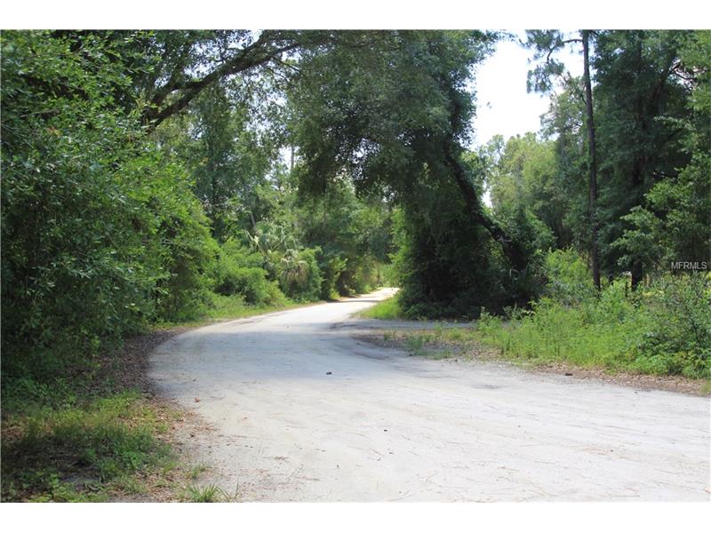 SHAD LANE, Geneva, FL 32732