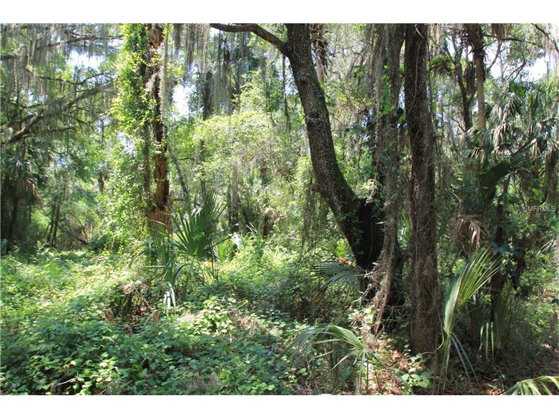 SHAD LANE, Geneva, FL 32732