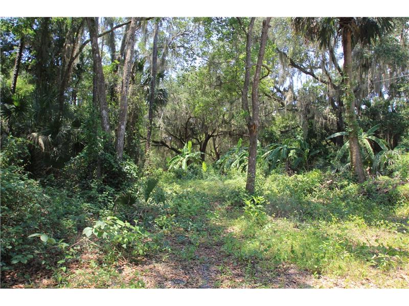 SHAD LANE, Geneva, FL 32732