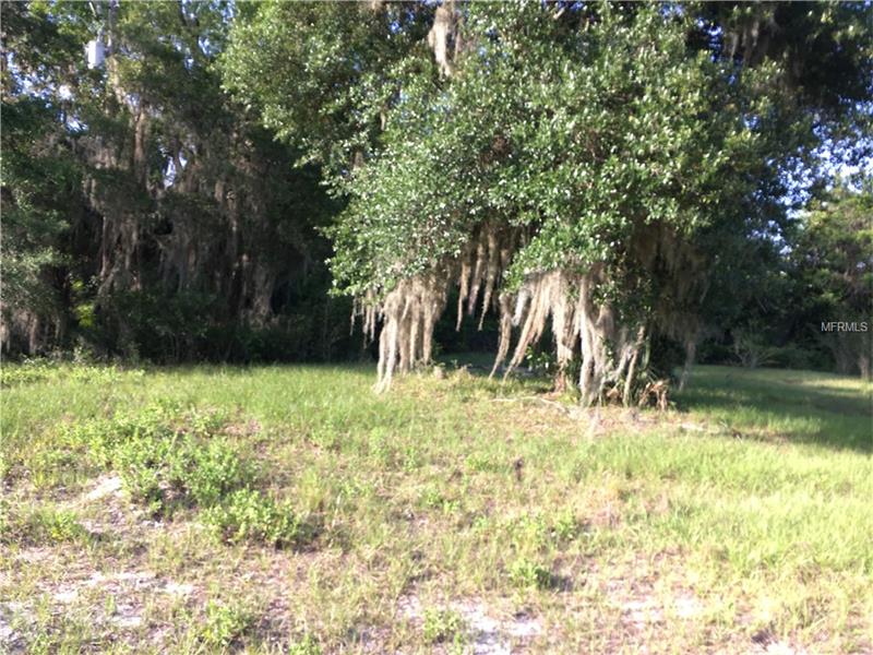 139 S COCHRAN ROAD, Geneva, FL 32732