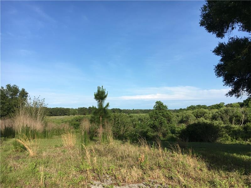 139 S COCHRAN ROAD, Geneva, FL 32732