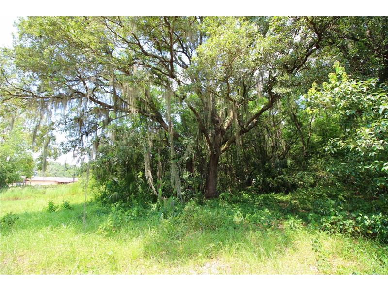 N 426TH, Geneva, FL 32732