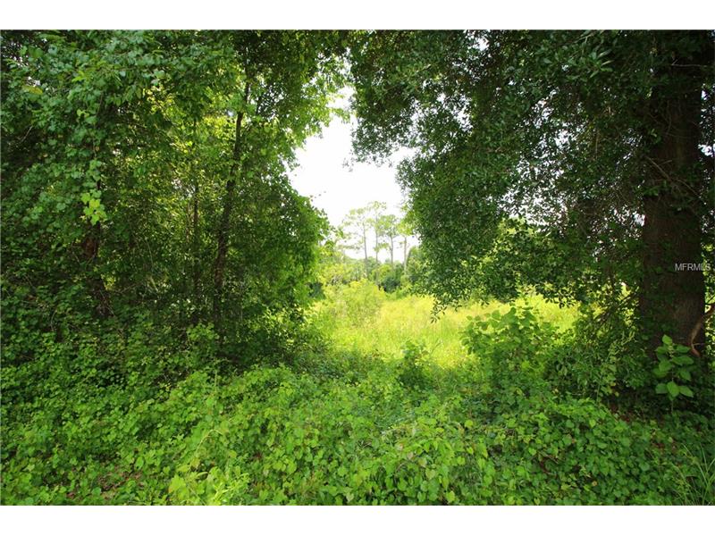 N 426TH, Geneva, FL 32732