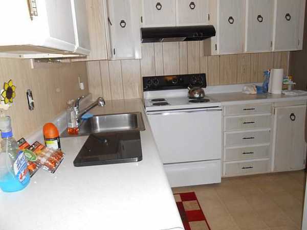 Grand Island Resort13154 Grape AvenueGrand Island, FL 32735