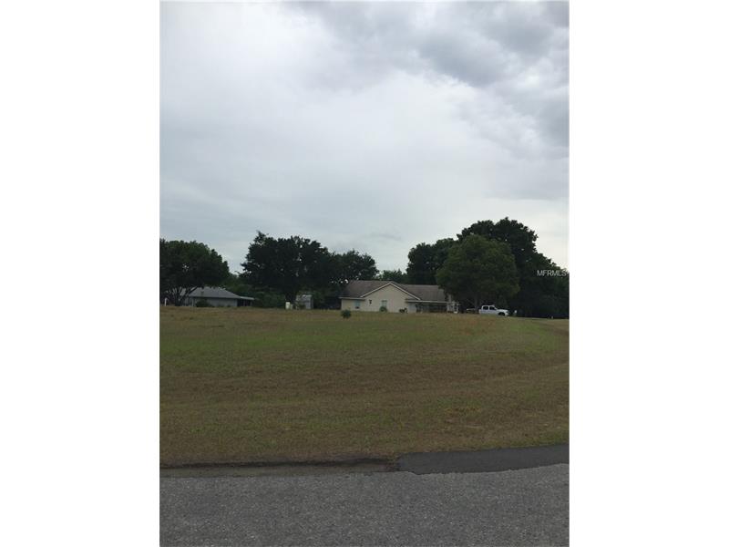 EAGLE DRIVE, Grand Island, FL 32735