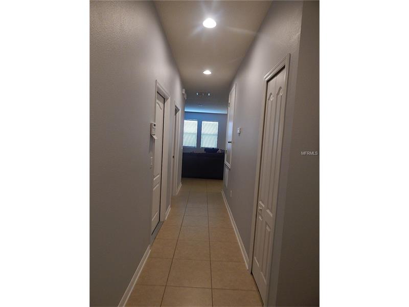 3219 ZANDER DRIVE, Grand Island, FL 32735