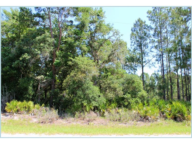 SAFFRON AVENUE, Eustis, FL 32736