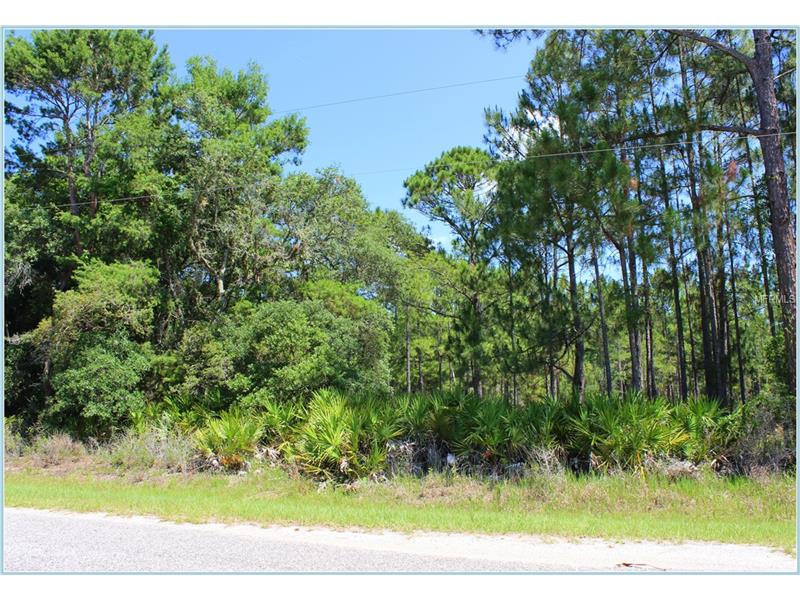 SAFFRON AVENUE, Eustis, FL 32736