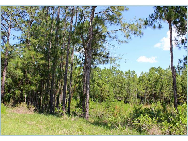 SAFFRON AVENUE, Eustis, FL 32736