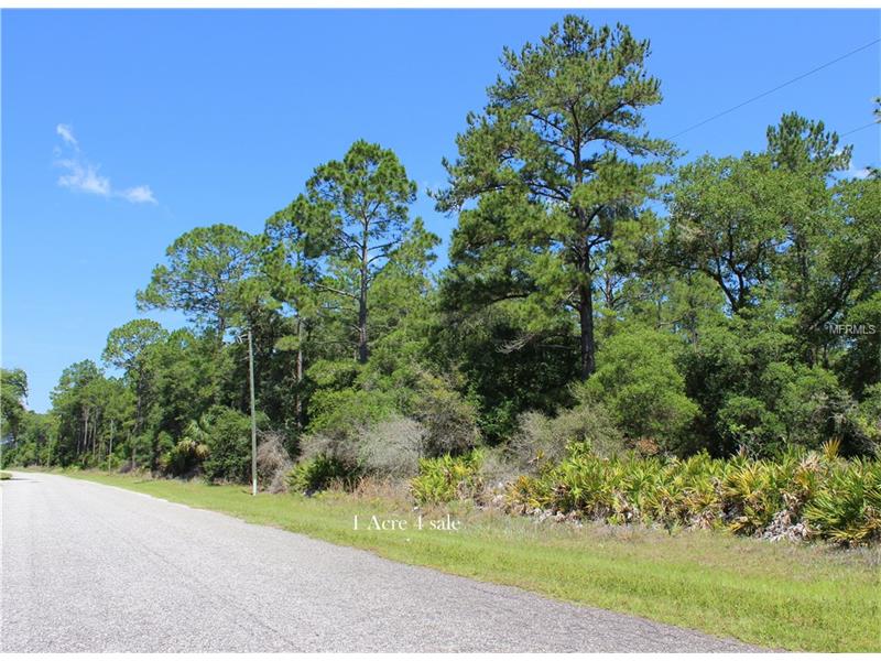 SAFFRON AVENUE, Eustis, FL 32736