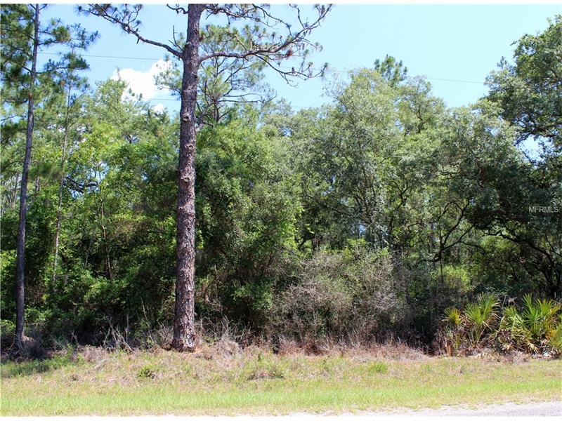 SAFFRON AVENUE, Eustis, FL 32736