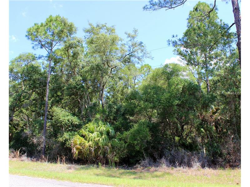 SAFFRON AVENUE, Eustis, FL 32736