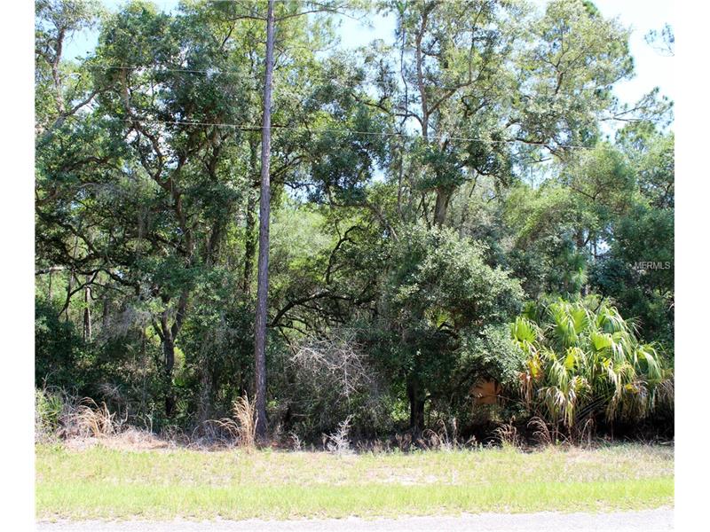 SAFFRON AVENUE, Eustis, FL 32736