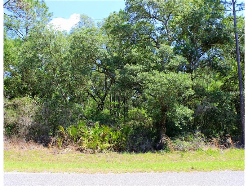 SAFFRON AVENUE, Eustis, FL 32736