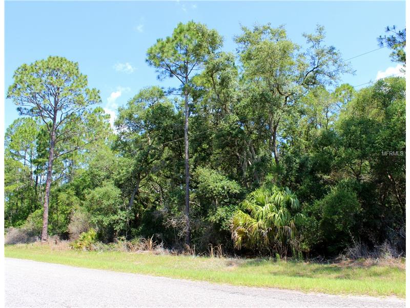SAFFRON AVENUE, Eustis, FL 32736